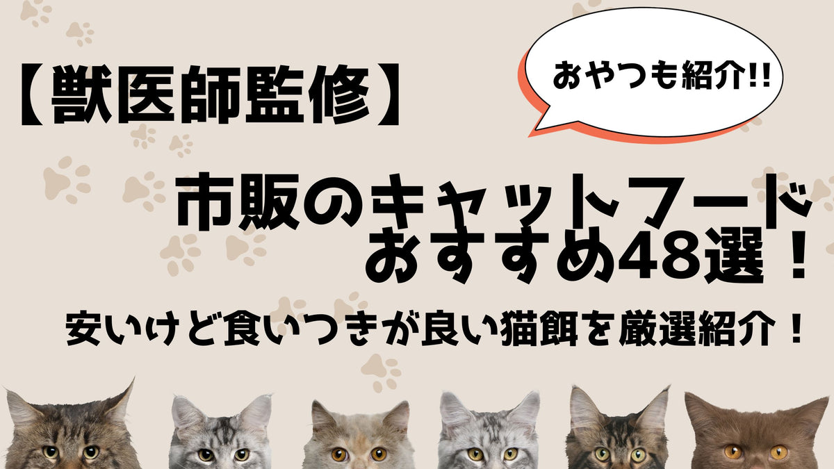 獣医師監修】市販のキャットフードおすすめ48選！安いけど食いつきが
