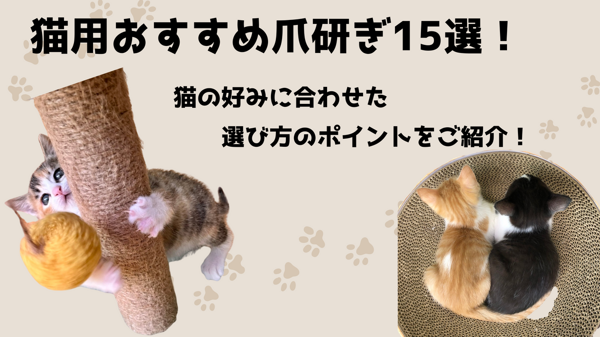 猫用おすすめ爪研ぎ15選！猫の好みに合わせた選び方のポイントをご紹介！ – NIGAOE PETS