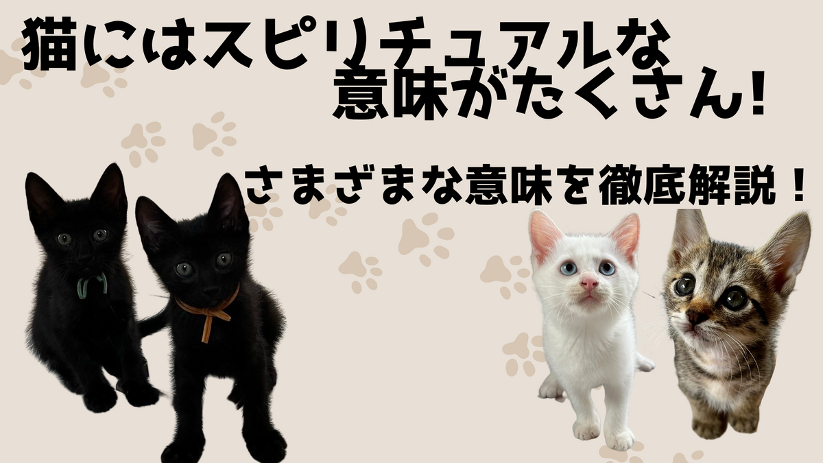 占い師監修】猫にはスピリチュアルな意味がたくさん！さまざまな意味を徹底解説！ – NIGAOE PETS