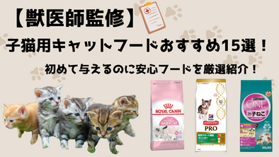 【獣医師監修】子猫用キャットフードおすすめ15選！初めて与えるのに安心フードを厳選紹介！